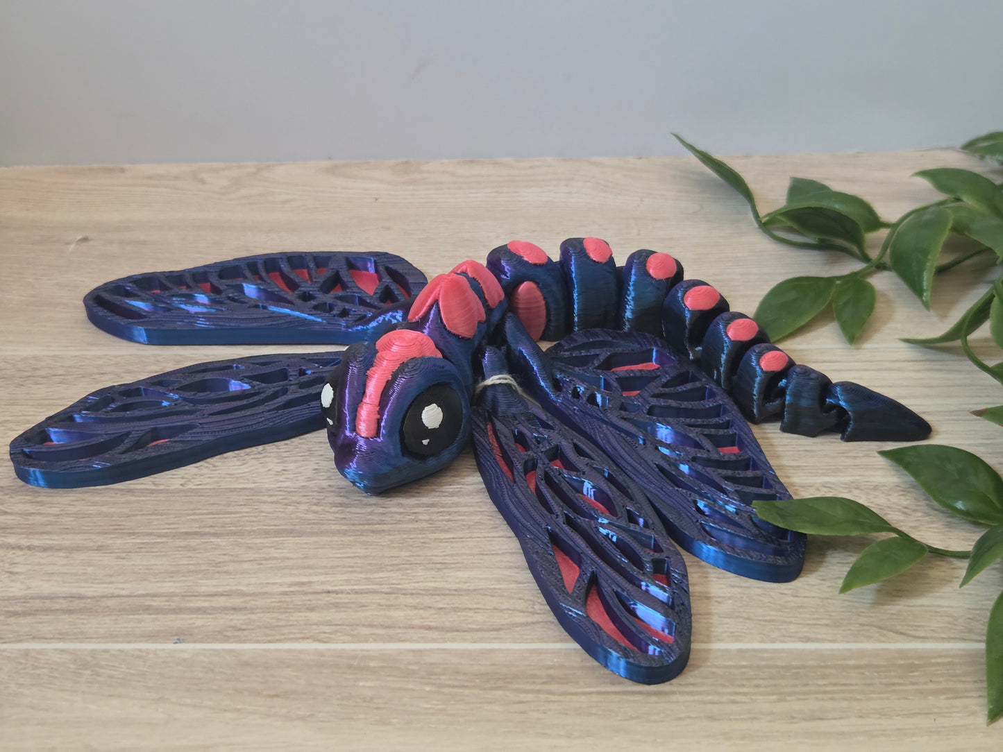 Large dragonfly