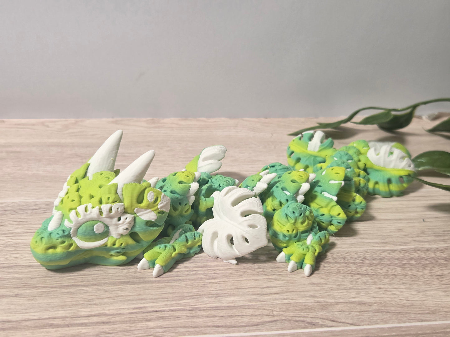 Baby Monstera Dragon