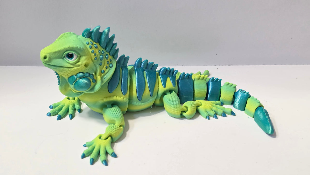 Green iguana