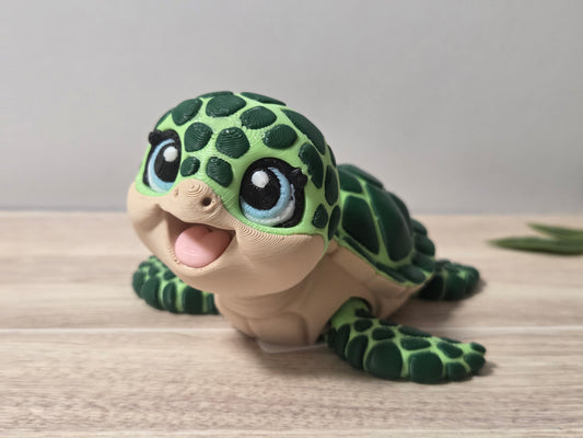 Cute Sea turtle
