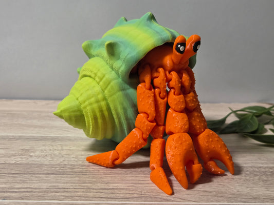 Green orange Hermit Crab