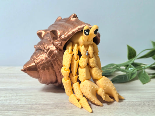 Orange + copper hermit crab