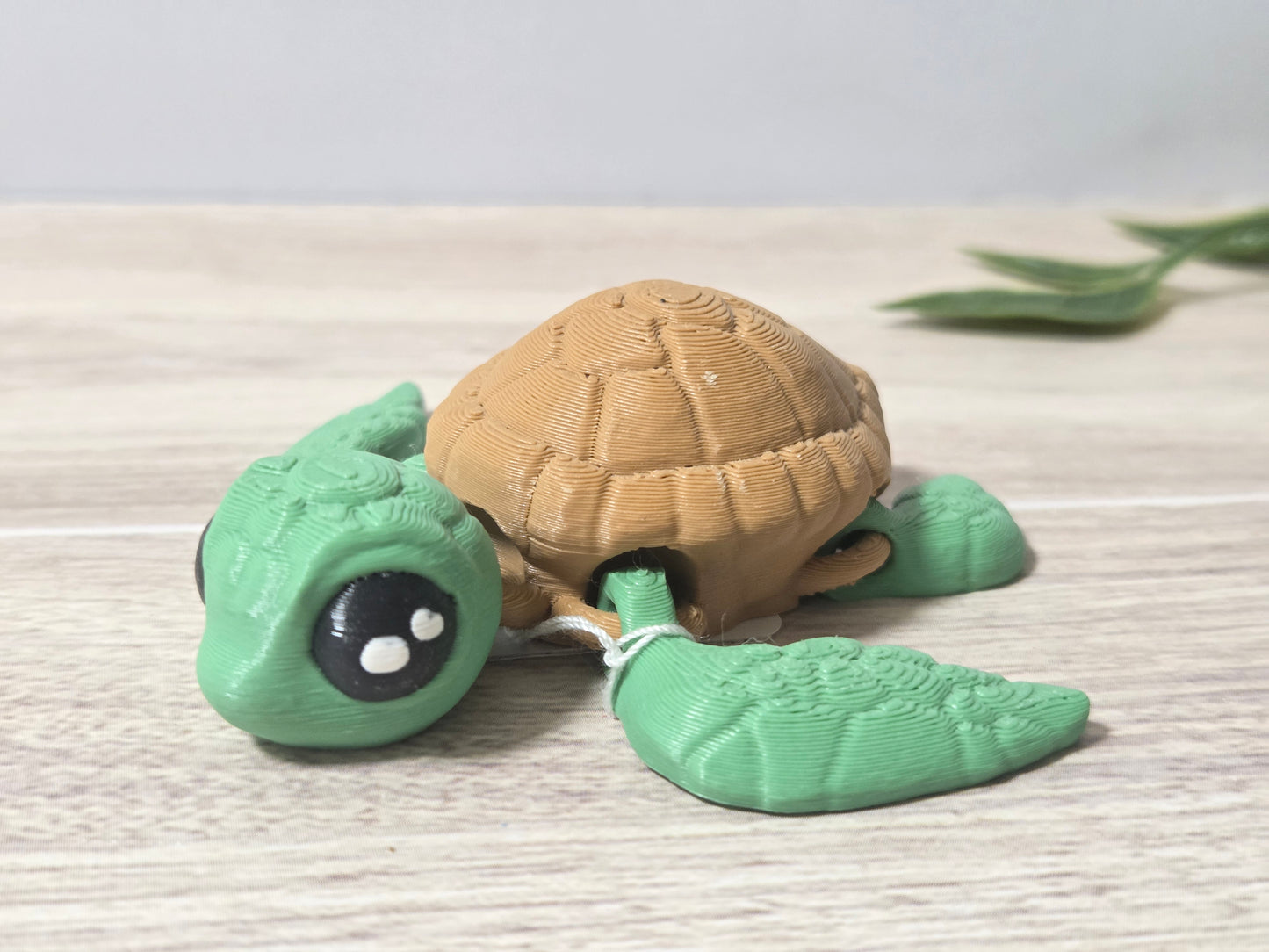 Little turtle