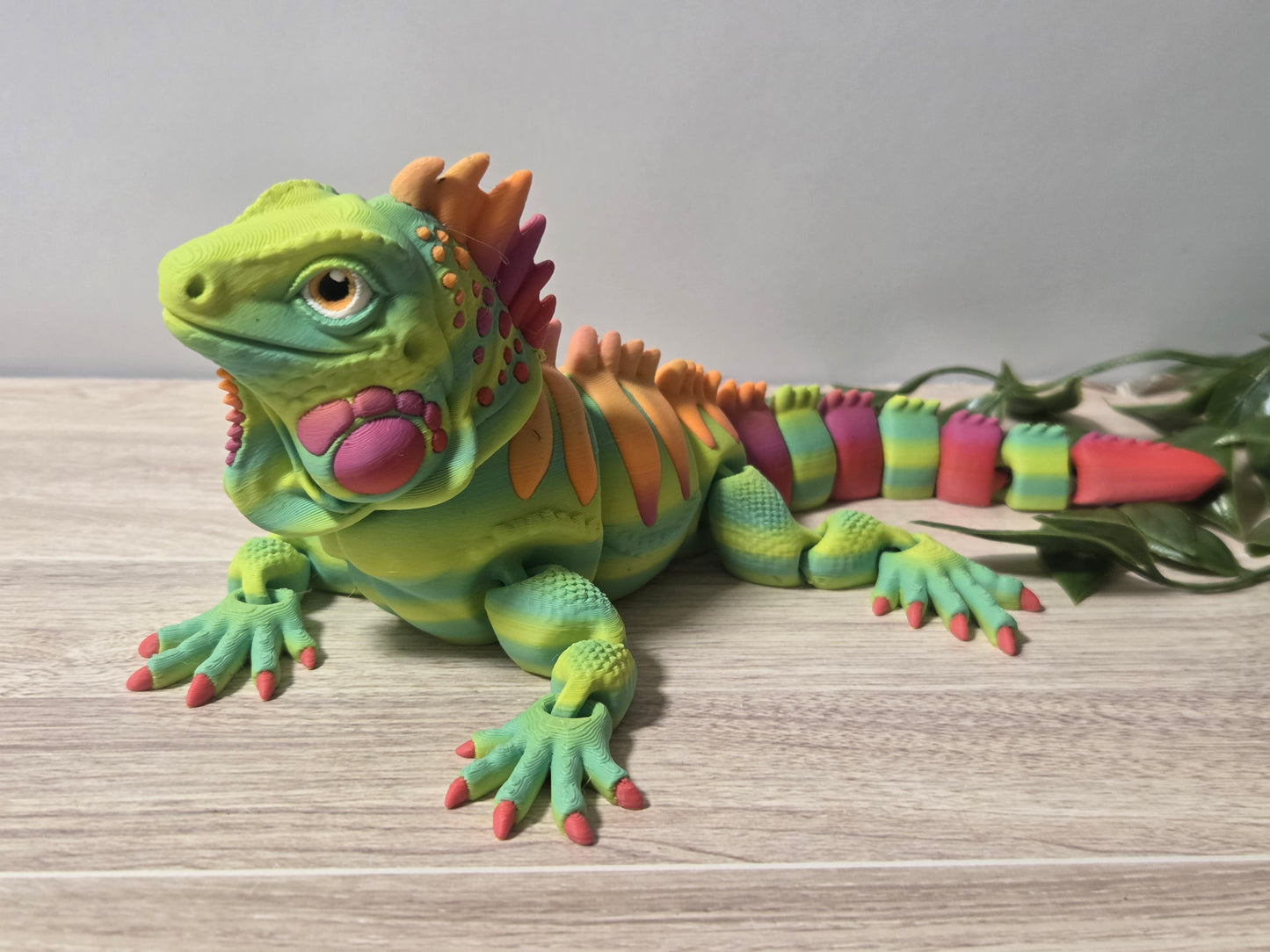 Green Iguana