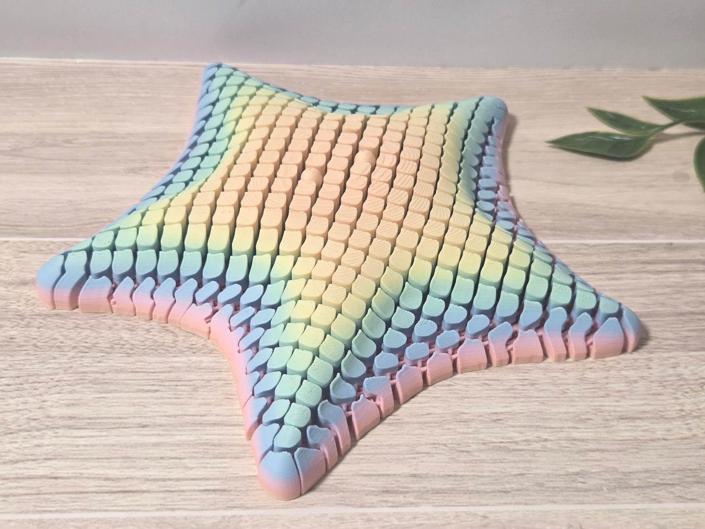 Mesh rainbow starfish